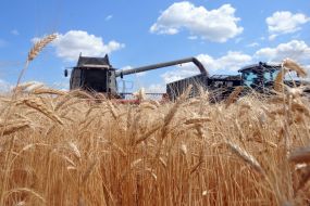 Harvesting