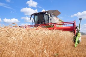 Harvesting