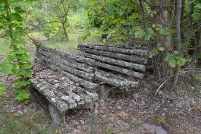 Moss-covered benches