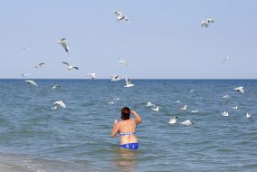 Woman feeds the seagulls