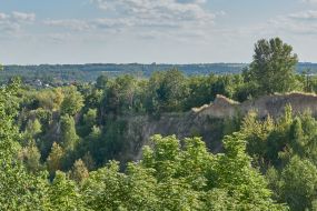 Полигон хранения крупногабаритного и строительного мусора №6