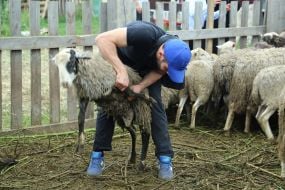 Празднование Курбан-байрама