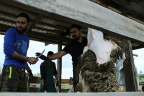 Празднование Курбан-байрама