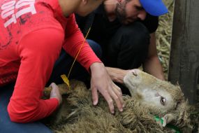 Празднование Курбан-байрама