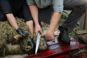 Празднование Курбан-байрама