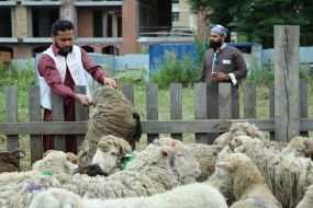 Празднование Курбан-байрама