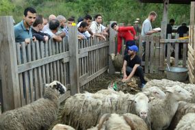 Празднование Курбан-байрама