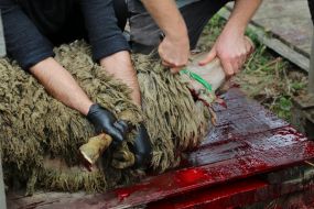 Празднование Курбан-байрама