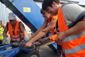 Sunflower harvesting