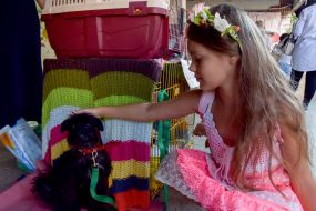 Девочка гладит собаку