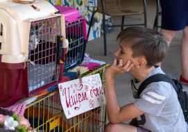 Мальчик смотрит на сидящего в клетке кота