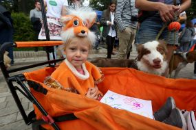 All-Ukrainian march for animals in Kiev