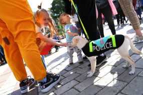 All-Ukrainian march for animals in Kiev