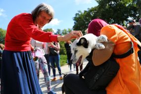 All-Ukrainian march for animals in Kiev