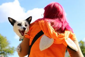 All-Ukrainian march for animals in Kiev