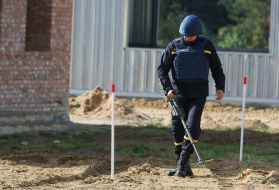 Rapid Trident-2019 exercises