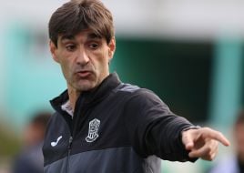 Висенте Гомес