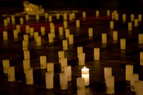 Participants of the action "Night on Bankova"