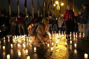 Participants of the action "Night on Bankova"
