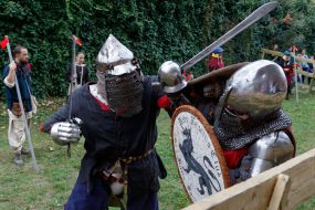 Рыцарский турнир