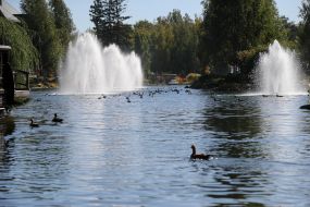 Fountains in the reservoir on the territory of "Mezhigorye"