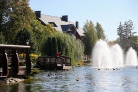 Фонтани у водоймі на території "Межигір'я"