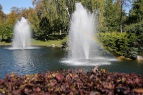 Фонтани у водоймі на території "Межигір'я"