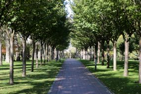 Національний парк "Межигір'я"