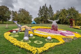 Chrysanthemum Festival