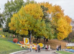 Chrysanthemum Festival