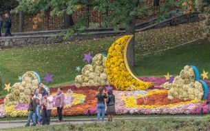 Chrysanthemum Festival