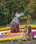 Chrysanthemum Festival