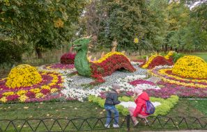 Chrysanthemum Festival