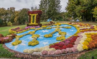 Chrysanthemum Festival
