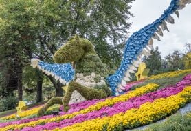 Chrysanthemum Festival