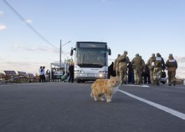 Cat at the checkpoint "Stanytsya Luhanska"