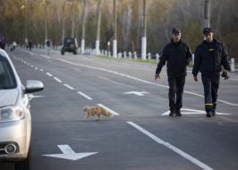 Пункт пропуску "Станиця Луганська"