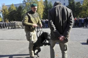 Показательное выступление пограничника с собакой