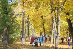 Autumn in Chernihiv
