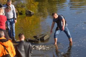 Акция по зарыблению Днепра