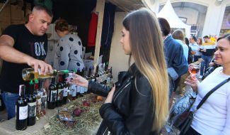 Cheese and wine holiday