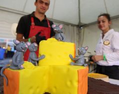 Cheese and wine holiday