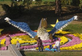 Фестиваль хризантем