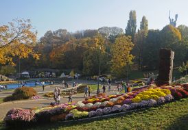 Фестиваль хризантем