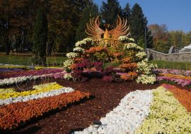 Фестиваль хризантем