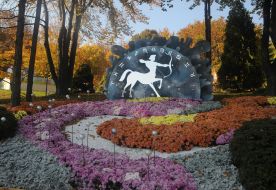 Фестиваль хризантем