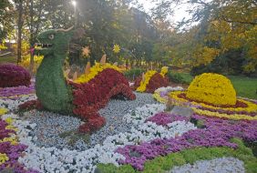 Фестиваль хризантем