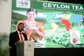 Хасита Дэ Элвис