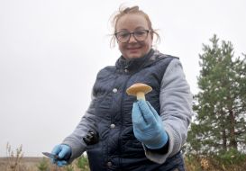 Woman is picking mushrooms