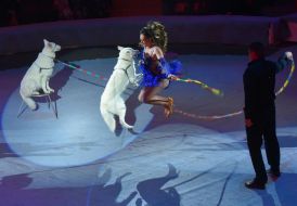 The premiere of the show “Past & Future”